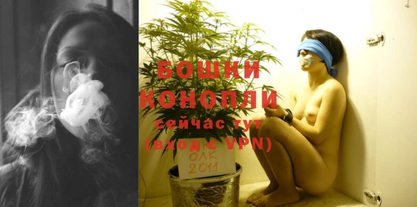ешки Бородино