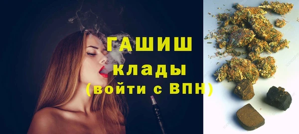 ешки Бородино
