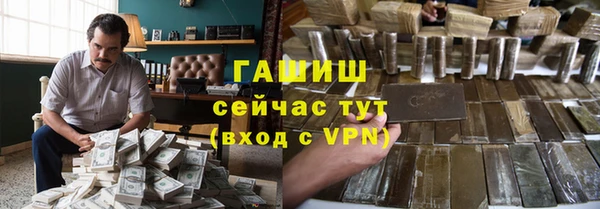 ешки Бородино