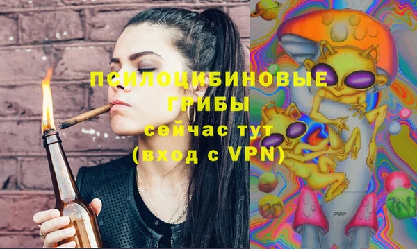 ешки Бородино