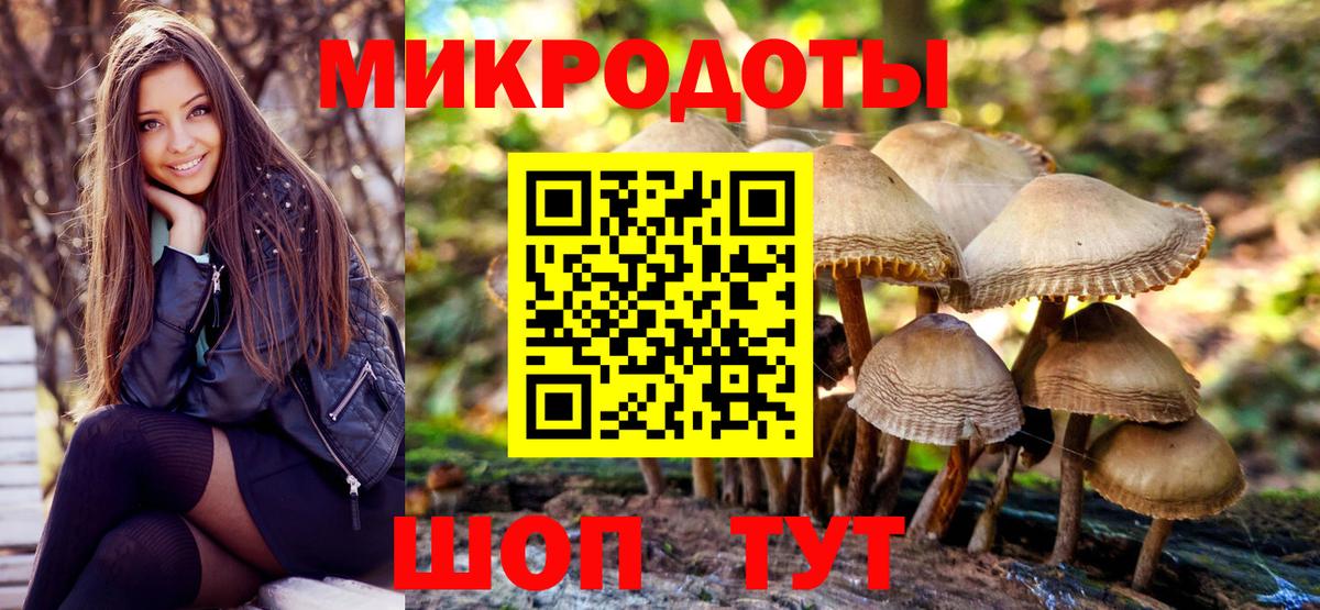 Псилоцибиновые грибы MAGIC MUSHROOMS  Вход с VPN  Псилоцибиновые грибы Psilocybe  Выборг 